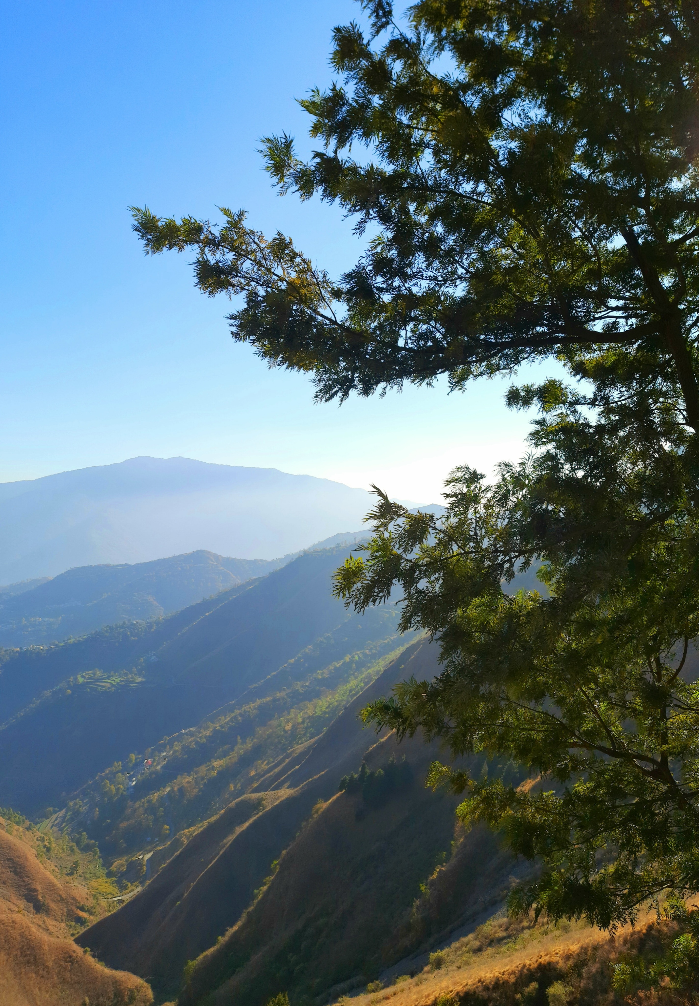 Mountain1